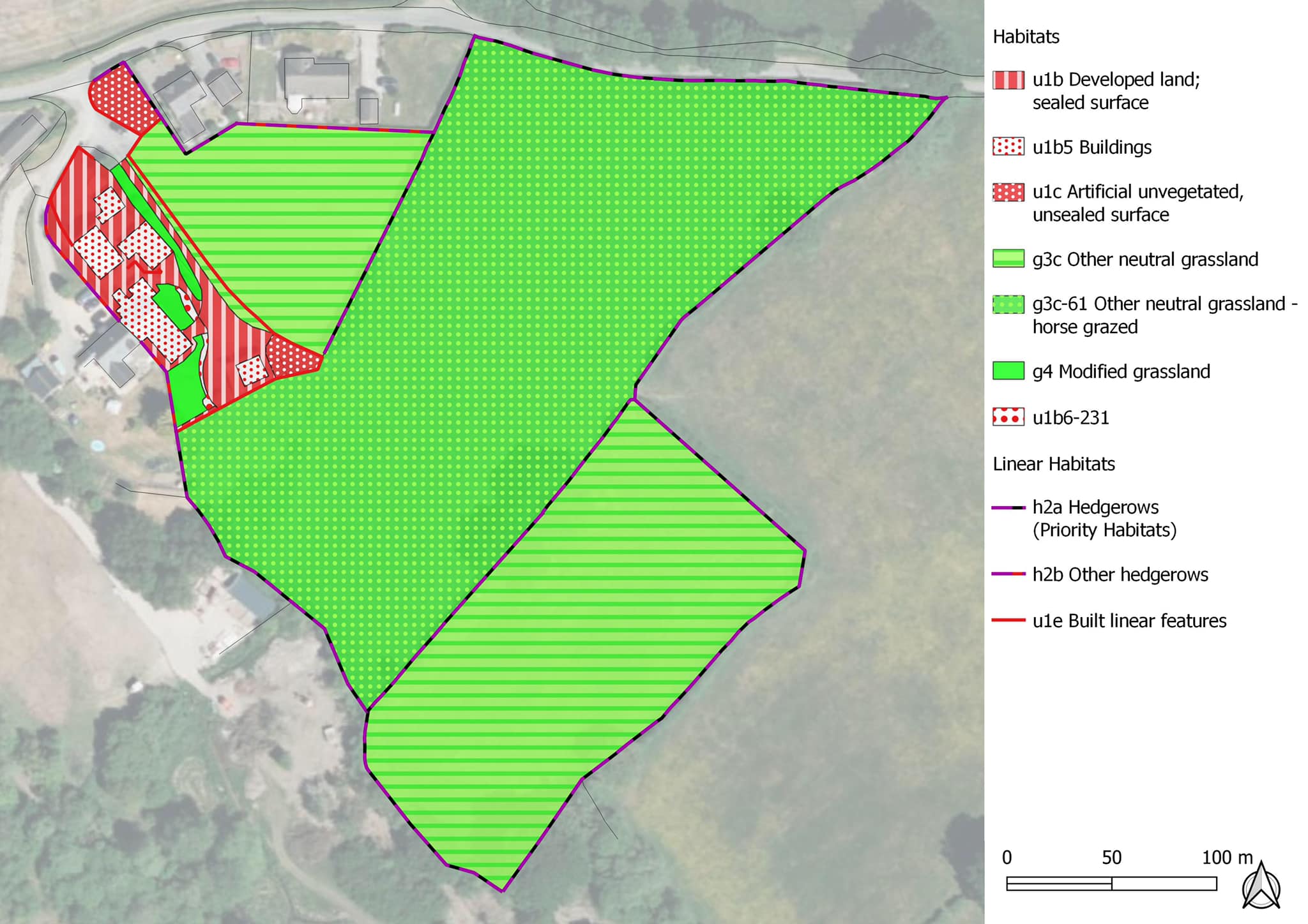 professional reporting: Ecological Surveys, BNG & Biodiversity Reporting