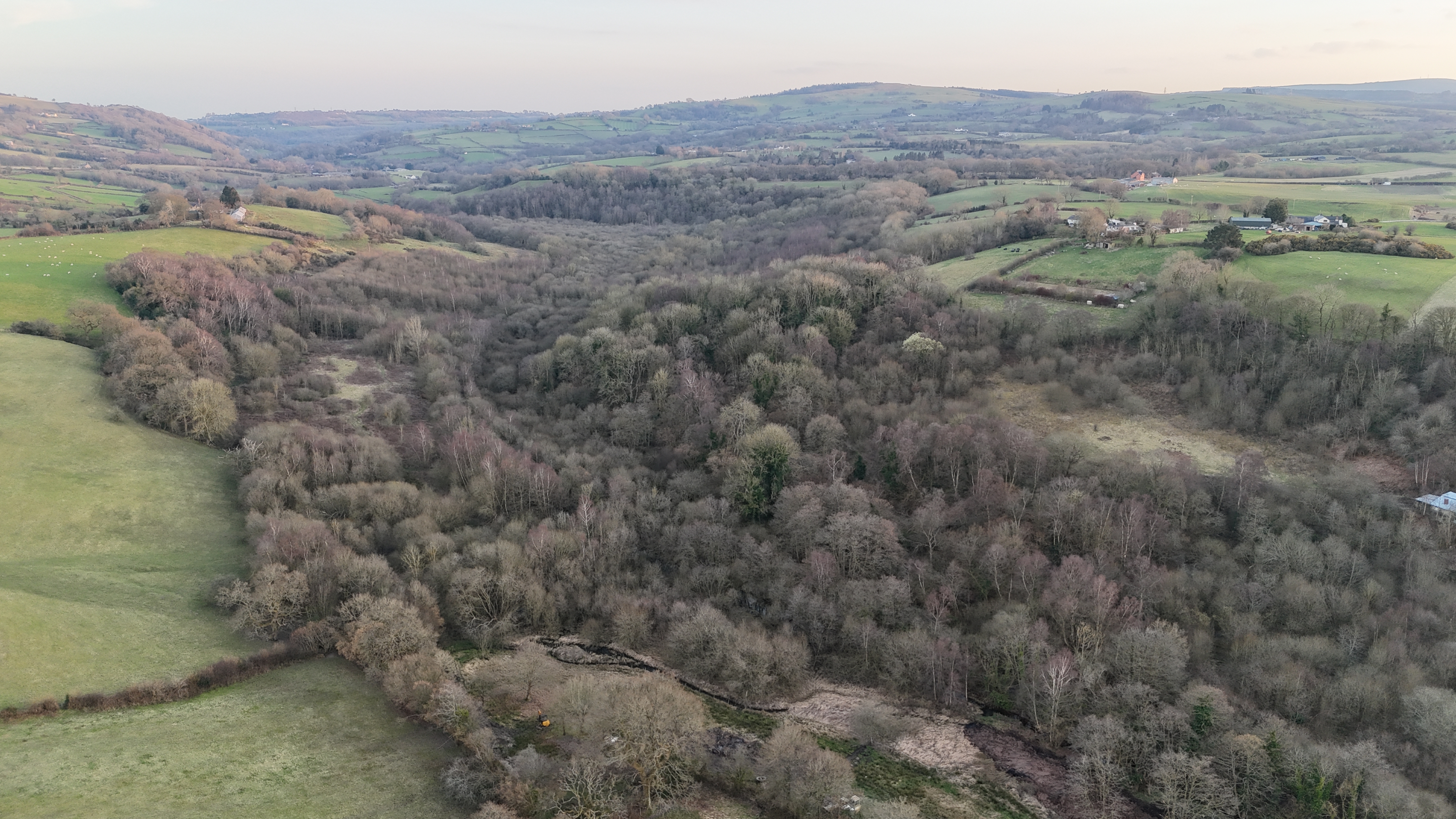 Natural Capital & Nature Markets: Funding, Carbon & Biodiversity Support