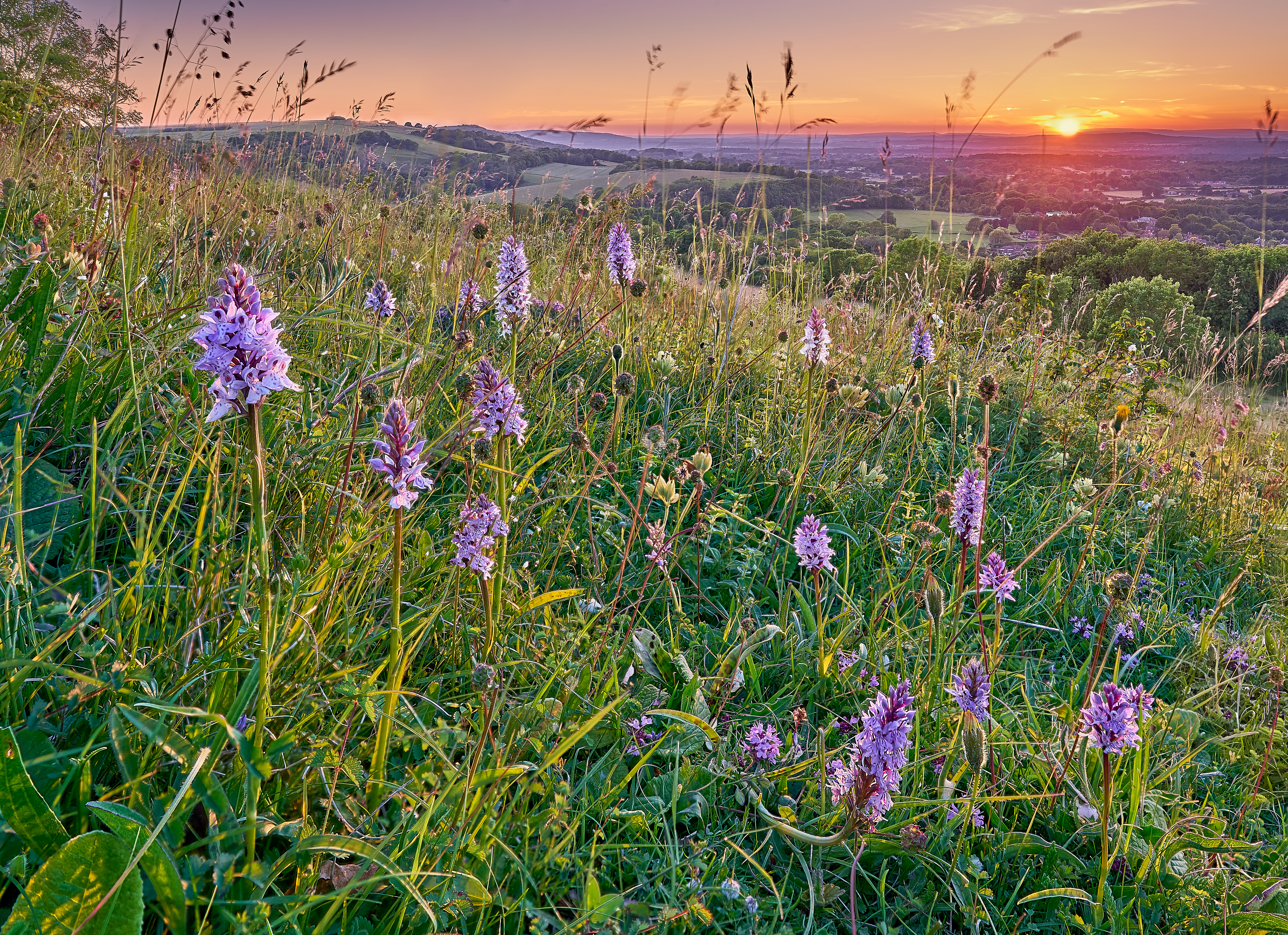 Natural Capital & Nature Markets: Funding, Carbon & Biodiversity Support
