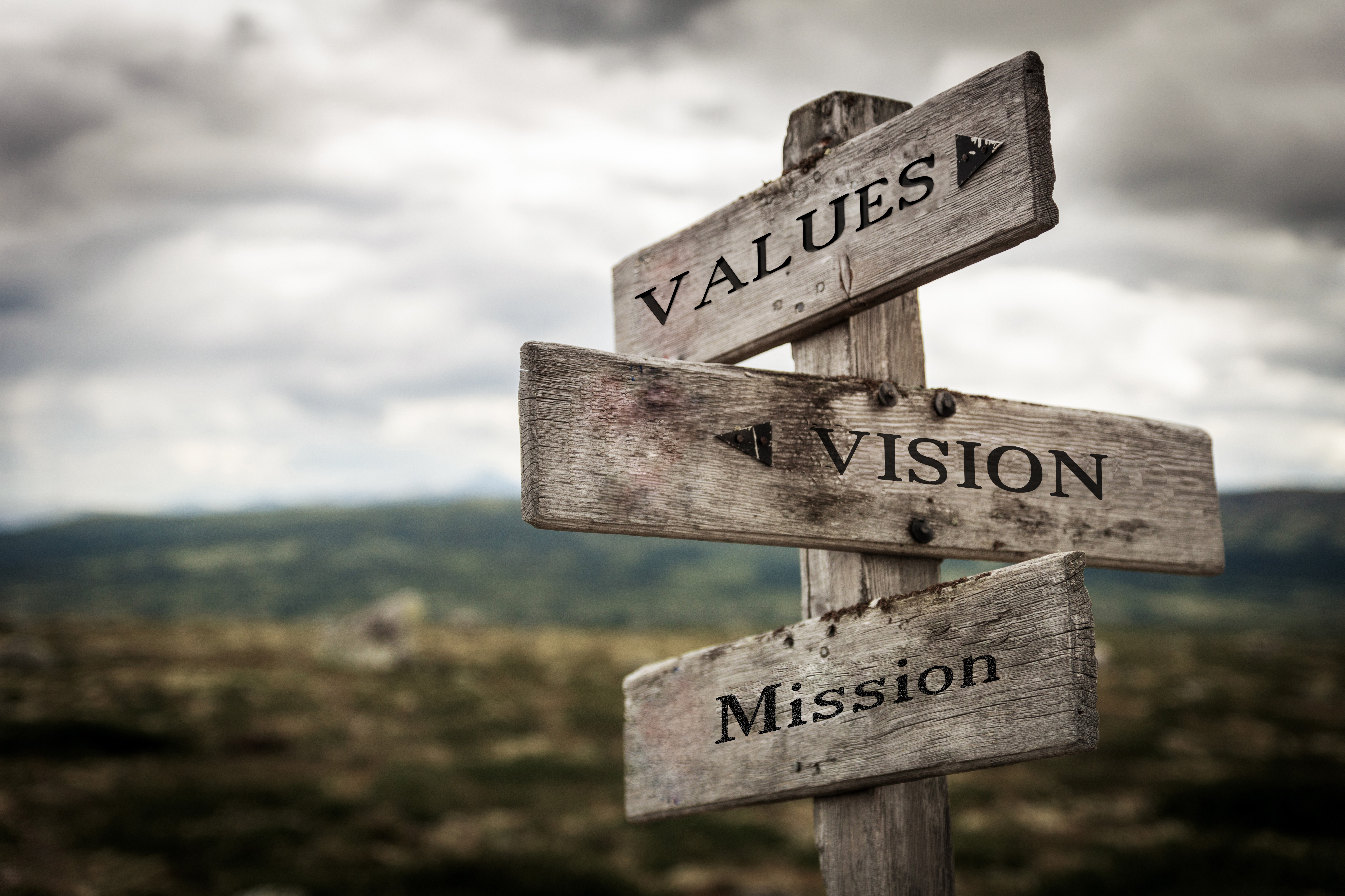 stakeholder engagement & training: Collaboration, Communication & Capacity‑Building