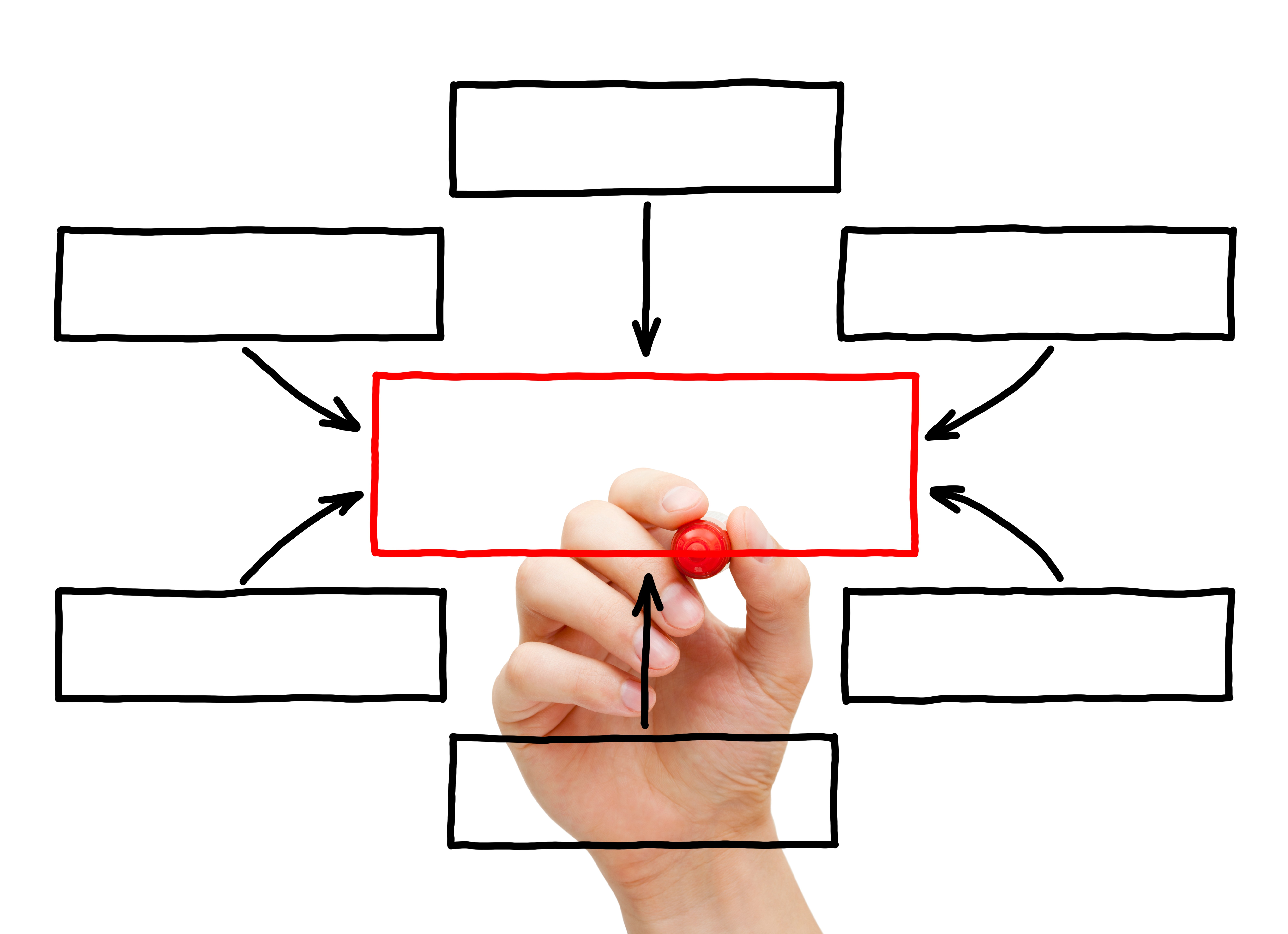 stakeholder engagement & training: Collaboration, Communication & Capacity‑Building